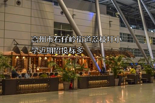 高州市石仔岭街道荔枝圩小学