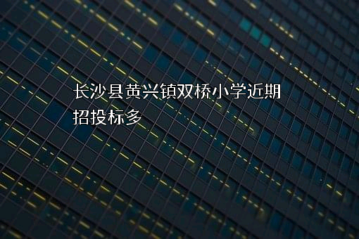 长沙县黄兴镇双桥小学