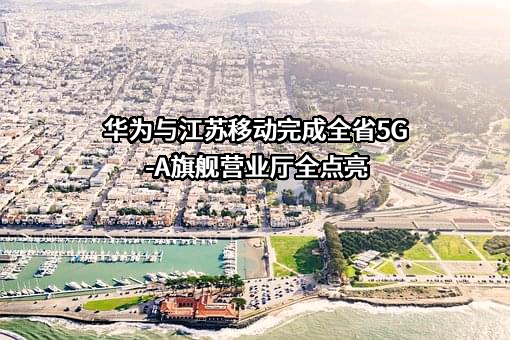 江苏移动信息系统集成有限公司