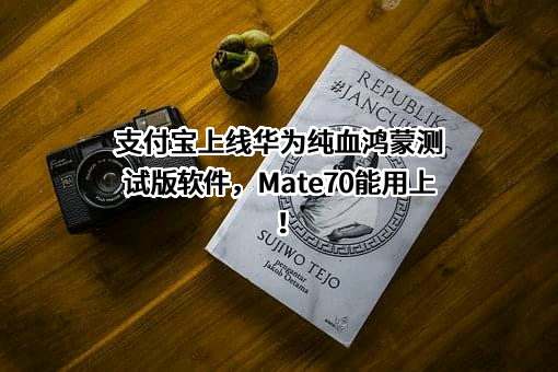 华为技术有限公司