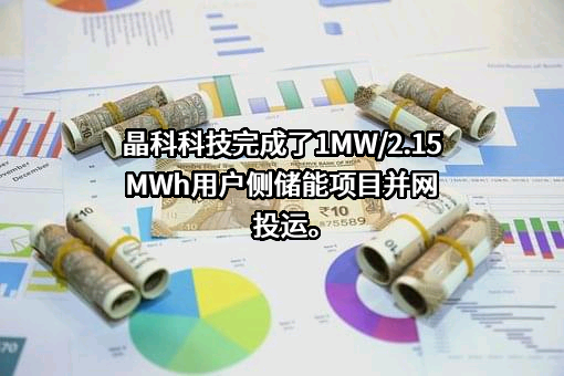晶科电力科技股份有限公司