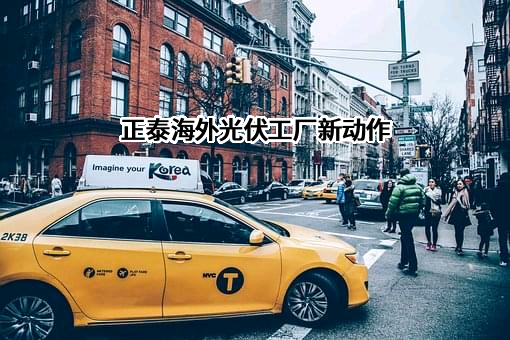 正泰集团股份有限公司