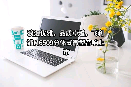 飞利浦（中国）投资有限公司