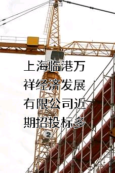 上海临港万祥经济发展有限公司