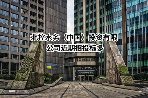 北控水务（中国）投资有限公司