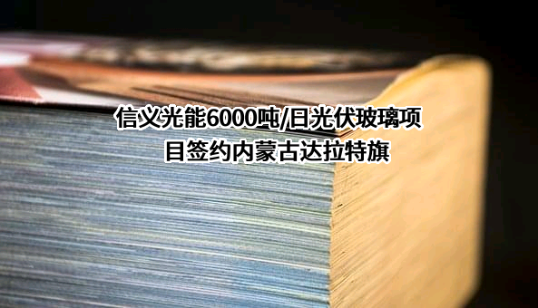 信义光伏产业（安徽）控股有限公司