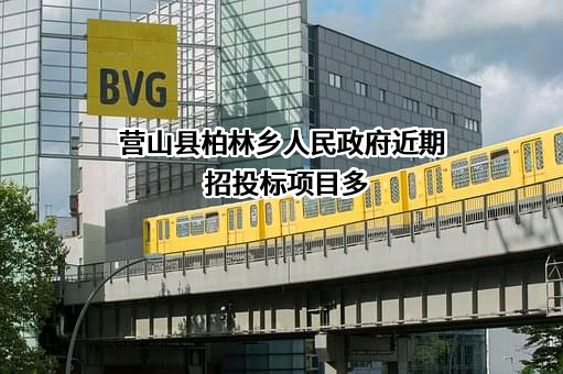 营山县柏林乡人民政府