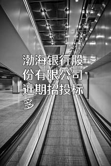渤海银行股份有限公司