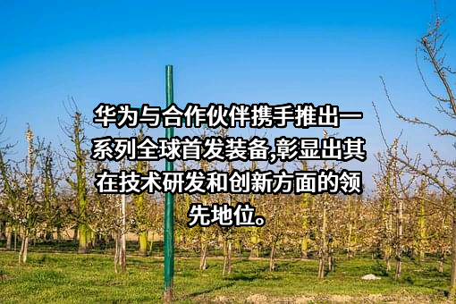 华为技术有限公司