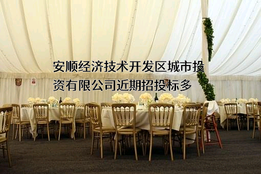 安顺经济技术开发区城市投资有限公司
