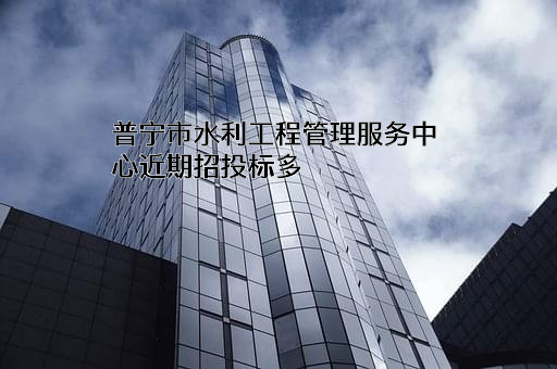 普宁市水利工程管理服务中心