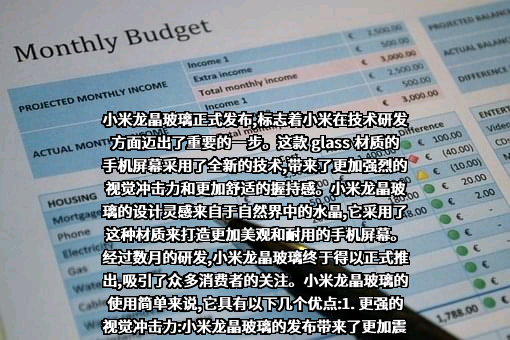 小米科技有限责任公司