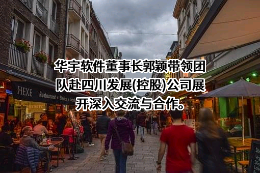 北京华宇软件股份有限公司