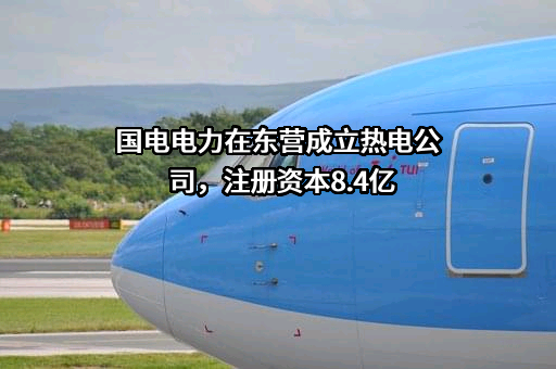 国电电力发展股份有限公司