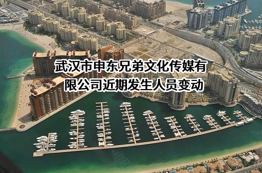 武汉市申东兄弟文化传媒有限公司