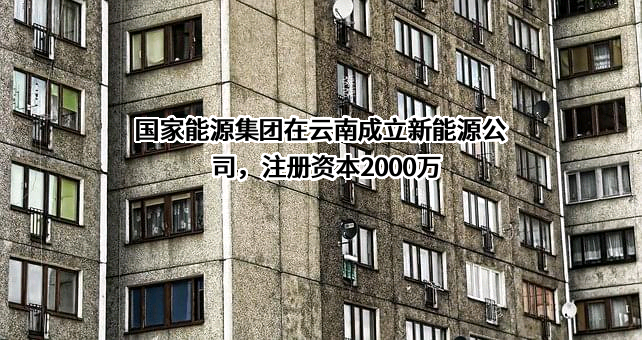 国家能源投资集团有限责任公司