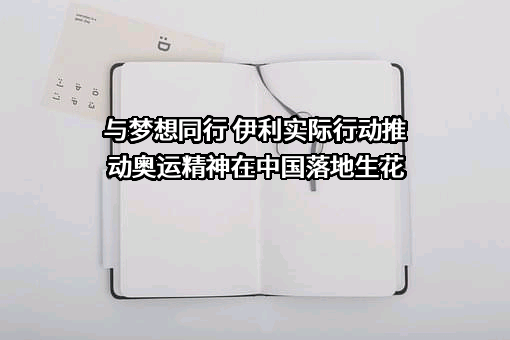 大连伊利诺集团有限公司