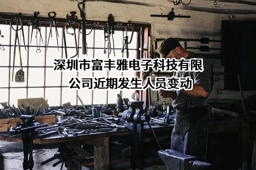 深圳市富丰雅电子科技有限公司