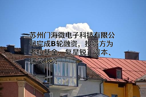 苏州门海微电子科技有限公司