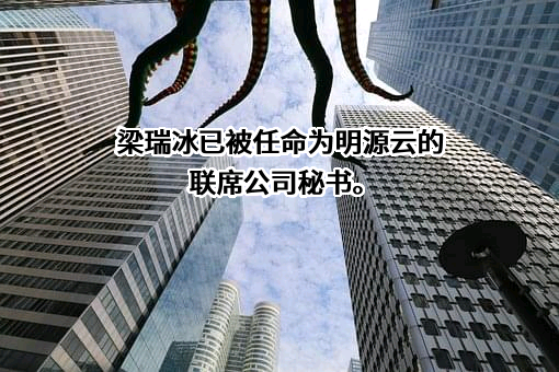 深圳市明源云科技有限公司