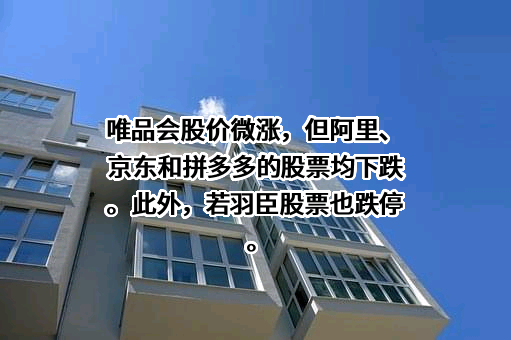 北京国联视讯信息技术股份有限公司