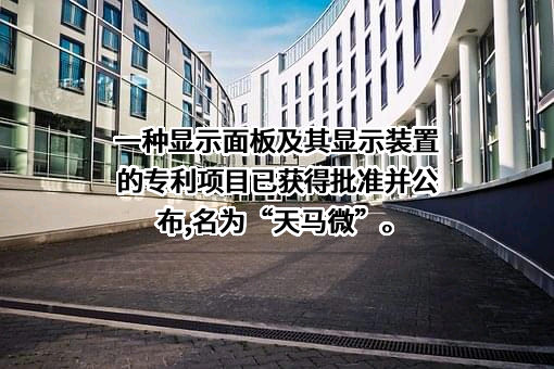 上海天马微电子有限公司