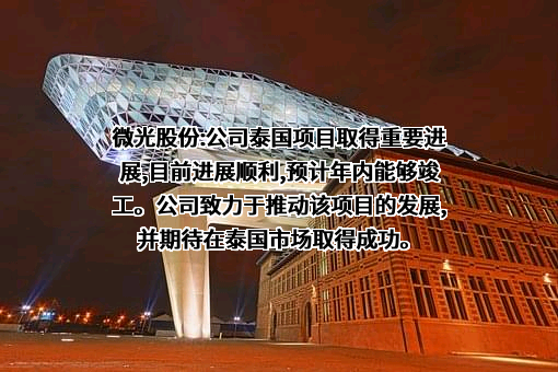 杭州微光电子股份有限公司