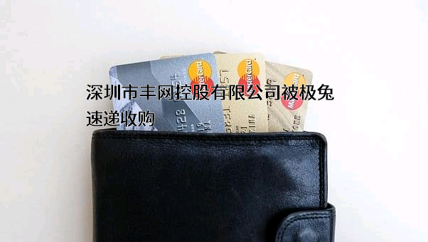 深圳市丰网控股有限公司