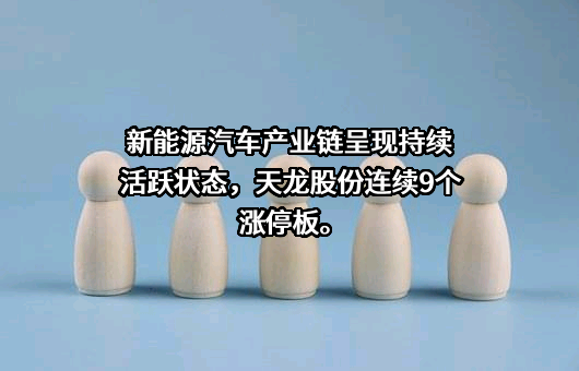 宁波天龙电子股份有限公司