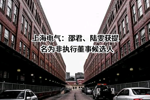 上海电气集团股份有限公司
