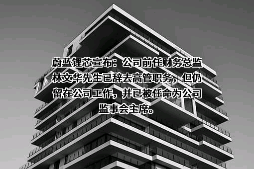 江苏蔚蓝锂芯股份有限公司