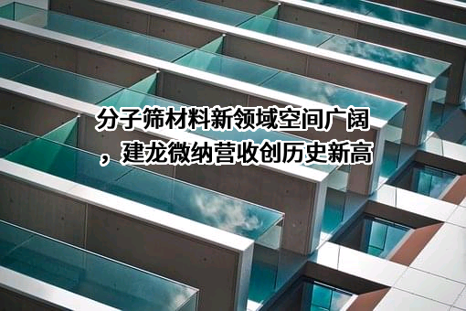 洛阳建龙微纳新材料股份有限公司