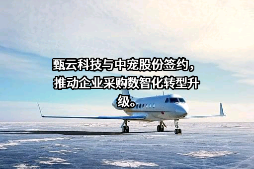 上海甄云信息科技有限公司
