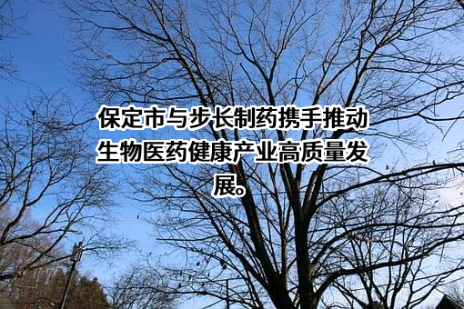 山东步长制药股份有限公司