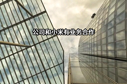 小米科技有限责任公司