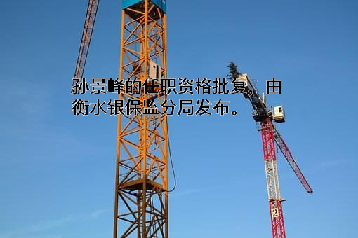 阳光人寿保险股份有限公司河北分公司