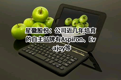 广东星徽精密制造股份有限公司