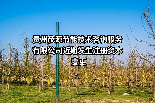 贵州茂源节能技术咨询服务有限公司