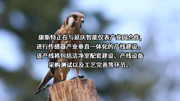 北京康斯特仪表科技股份有限公司