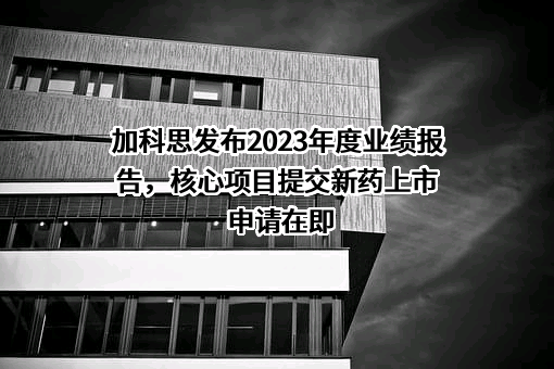 北京加科思新药研发有限公司