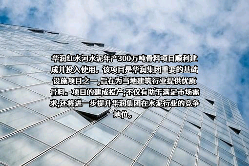 广西华润红水河水泥有限公司