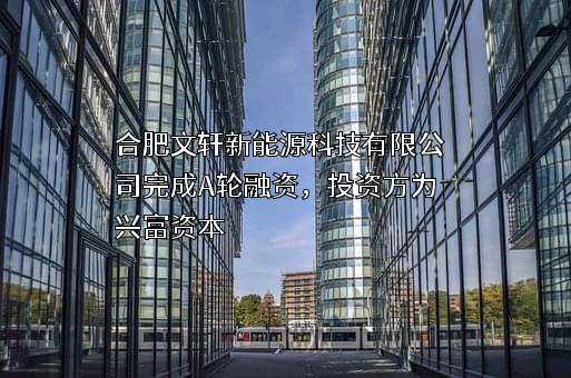 合肥文轩新能源科技有限公司