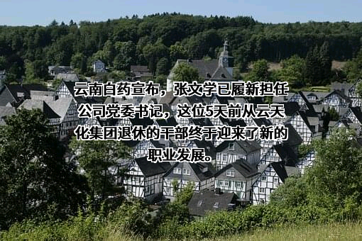 云南白药集团股份有限公司