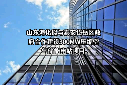 山东海化股份有限公司