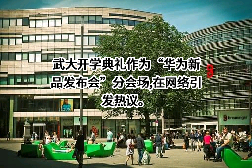 华为技术有限公司
