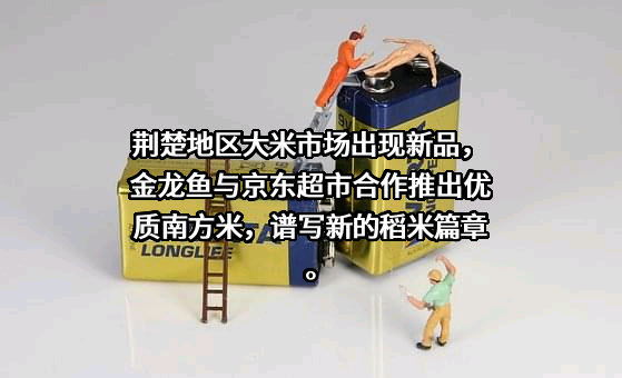 益海嘉里食品营销有限公司