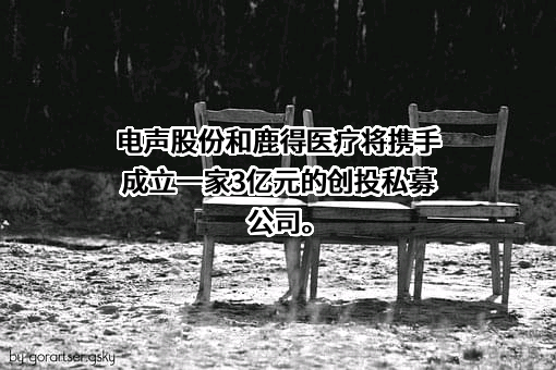 江苏鹿得医疗电子股份有限公司