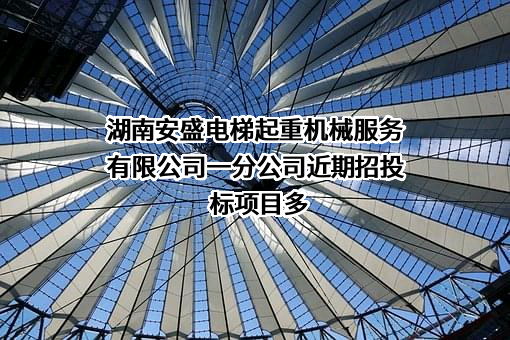 湖南安盛电梯起重机械服务有限公司一分公司近期招投标项目多