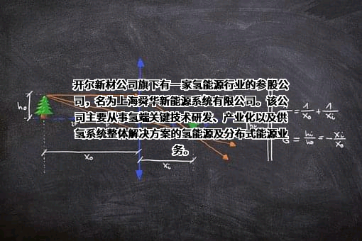 上海舜华新能源系统有限公司