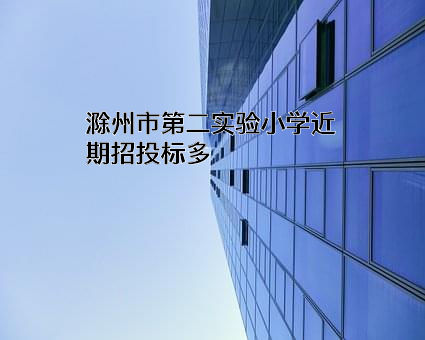 滁州市第二实验小学近期招投标项目多